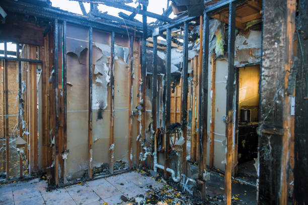 Professional Fire Damage Removal technician working in Oberlin, LA